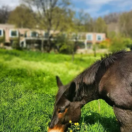 Szálloda Artemisia Boutique