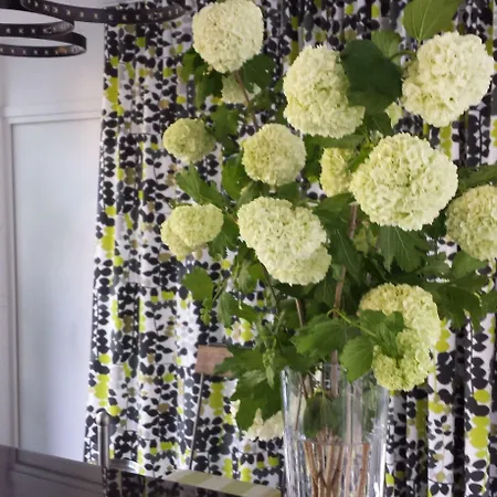 Artemisia Boutique Hotel Hotel