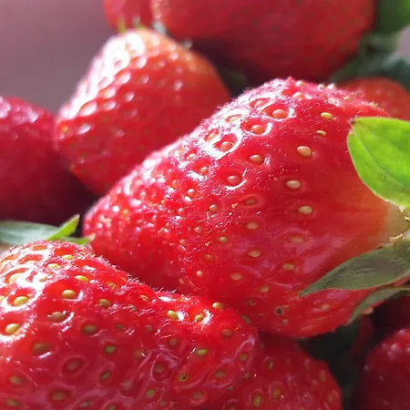 Hotel Artemisia Boutique Hotel 3*