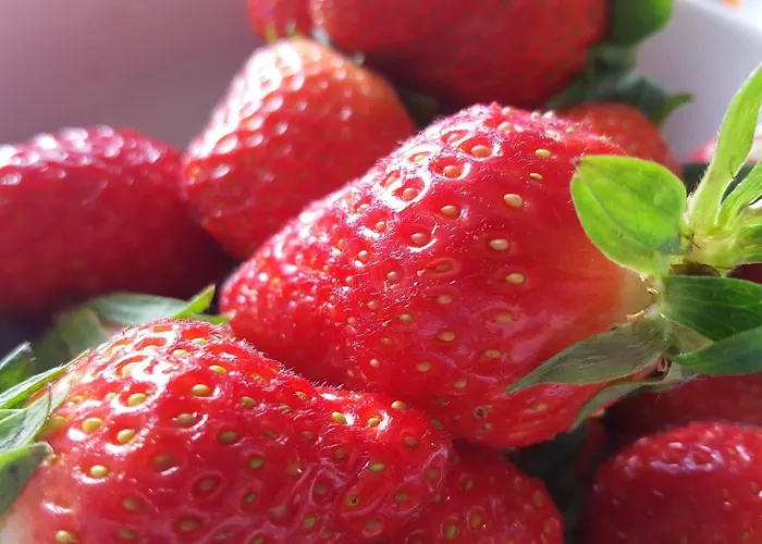 Hotel Artemisia Boutique 3*