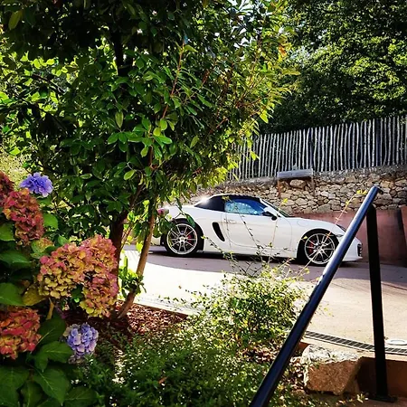 Artemisia Boutique 호텔 3*