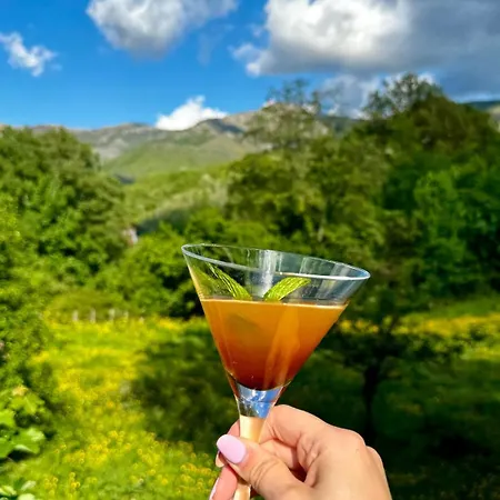 Szálloda Boutique Artemisia 3*