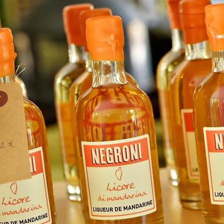 Hotel Artemisia Boutique