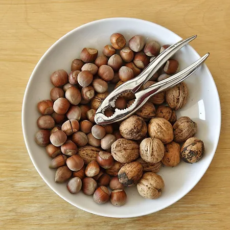 Artemisia Boutique Bastelica