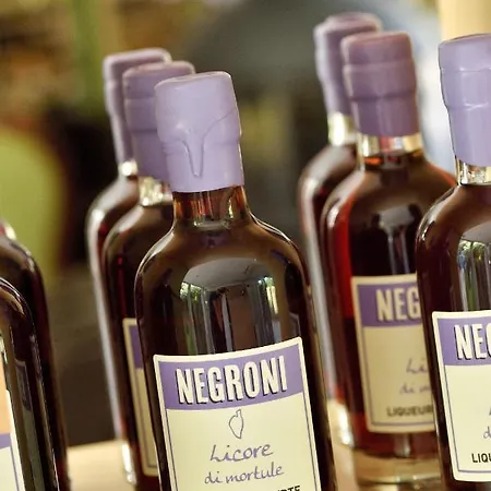 호텔 Artemisia Boutique Bastelica