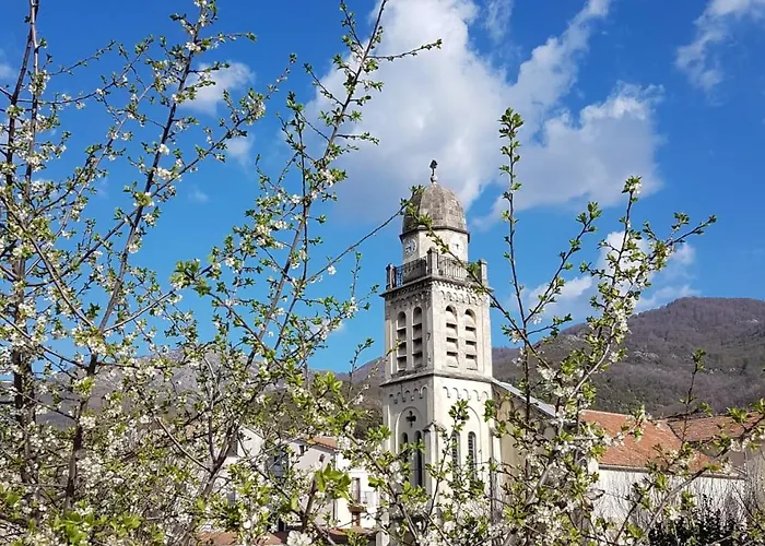 Artemisia Boutique バステリカ