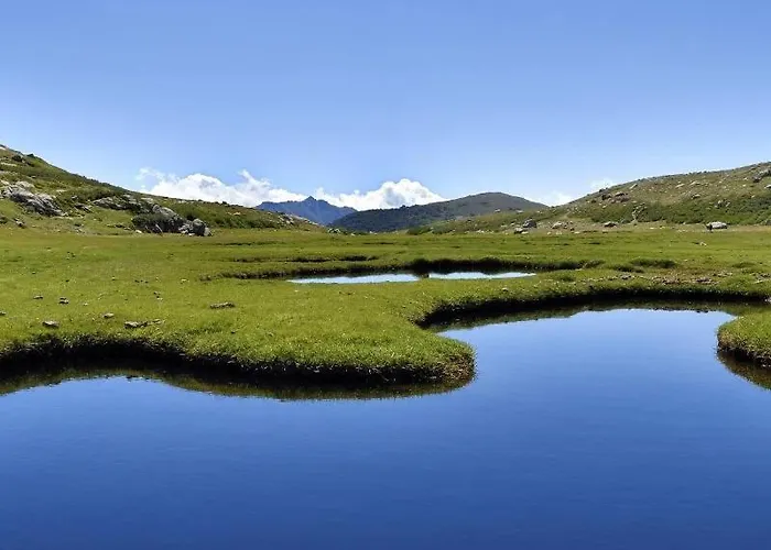 Artemisia Boutique バステリカ