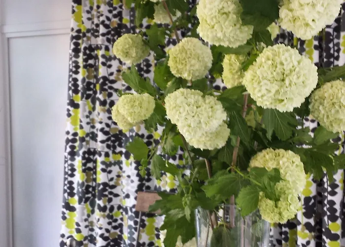 Artemisia Boutique Hotel Hotell